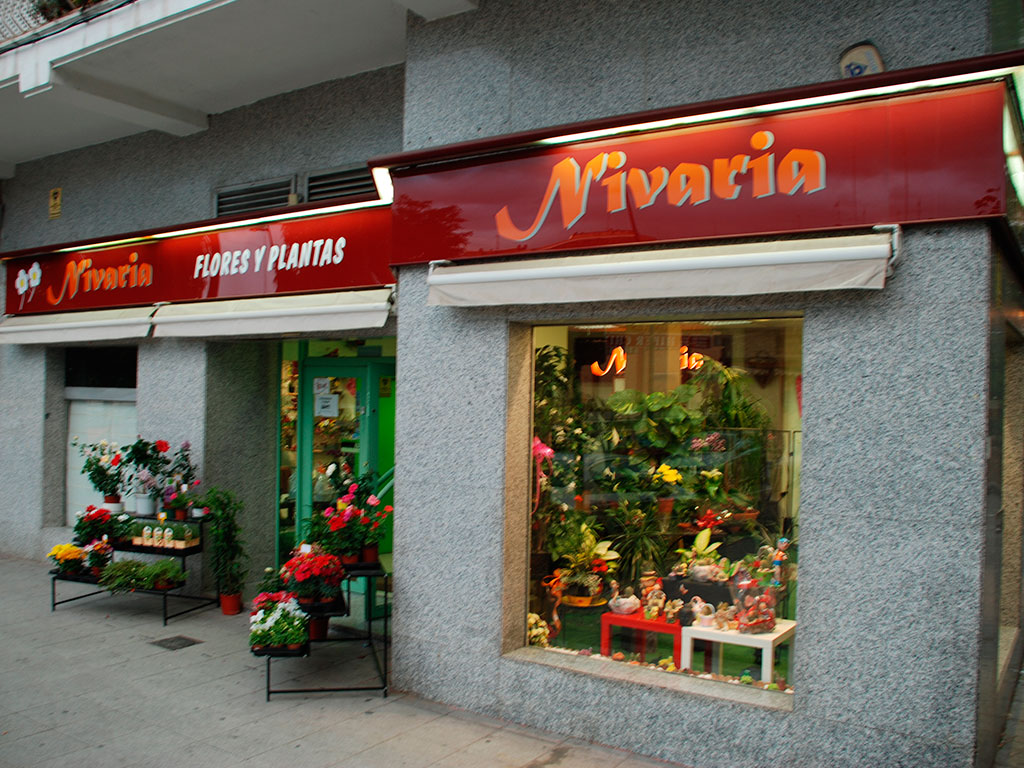 Nivaria