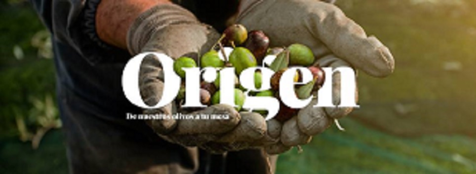 Aceites Monte Horquera